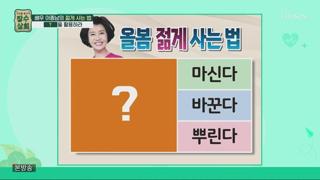 미리보기 이미지