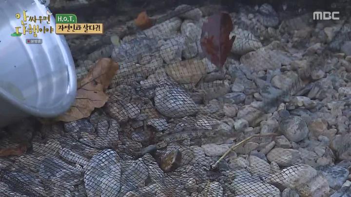 안싸우면 다행이야.E07.201121.720p-NEXT 비디오 썸네일 이미지