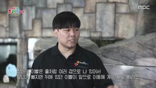 미리보기 이미지