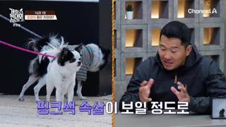 미리보기 이미지