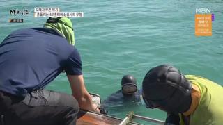 미리보기 이미지
