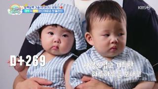 미리보기 이미지