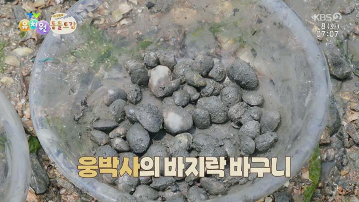 TV 유치원.E2217.250708.720p.H264-F1RST 비디오 썸네일 이미지