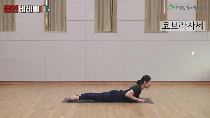 시니어요가 - 면역력증가에 도움이 되는 토끼자세, 코브라자세, 물고기자세 비디오 썸네일 이미지