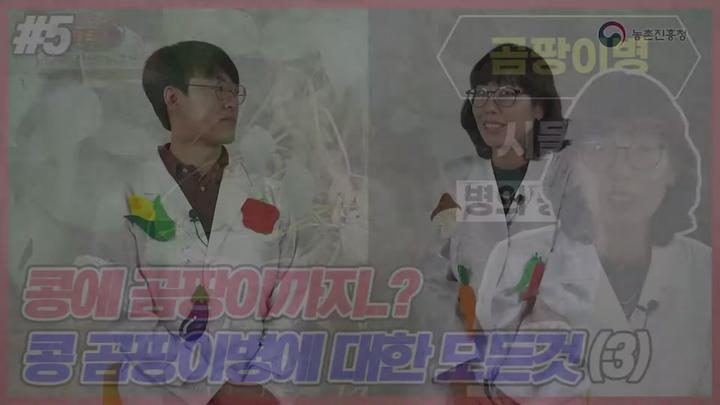 콩 주요 병해충 방제 - 시들음병_흰비단병 비디오 썸네일 이미지