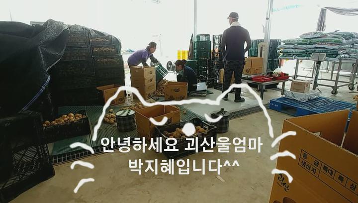 [감자재배] 감자수확과정과 수확후관리 비디오 썸네일 이미지