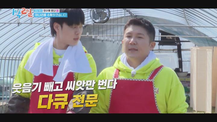 1박2일 시즌4 E268 20250330 1080P-KING 비디오 썸네일 이미지