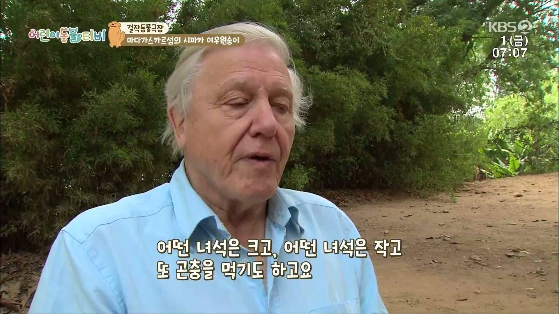 썸네일 이미지