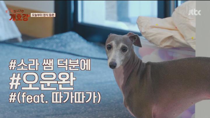 집 나가면 개호강.E03.250608.1080p.H265-F1RST 비디오 썸네일 이미지