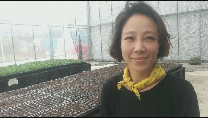 [배추재배] 가을배추 파종시기와 방법 비디오 썸네일 이미지