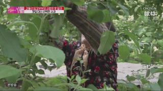 미리보기 이미지