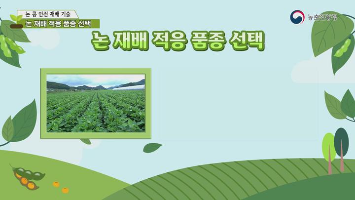 농업기술_논 콩 안전 재배기술 비디오 썸네일 이미지
