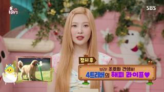 미리보기 이미지