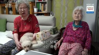 미리보기 이미지