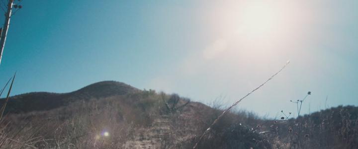 Alien Planet. Sci-Fi Horror (외계 행성) 비디오 썸네일 이미지