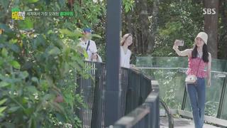 미리보기 이미지