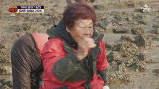 미리보기 이미지
