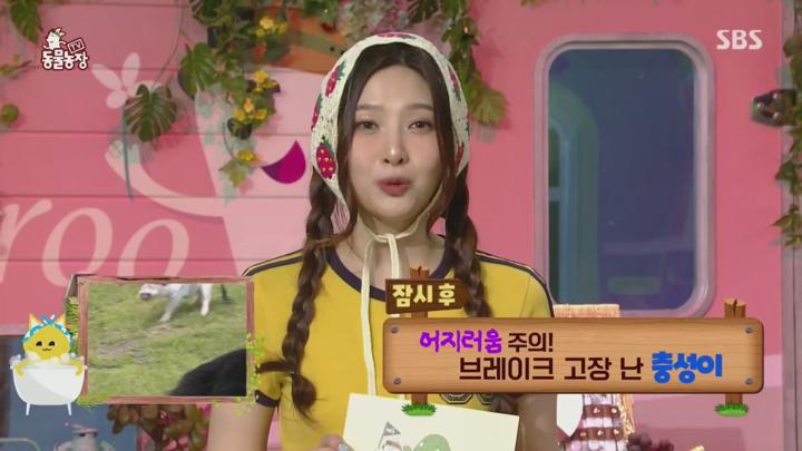 TV 동물농장.E1229.250706.720p.H264-F1RST 비디오 썸네일 이미지