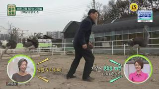 미리보기 이미지