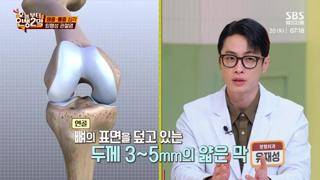 미리보기 이미지