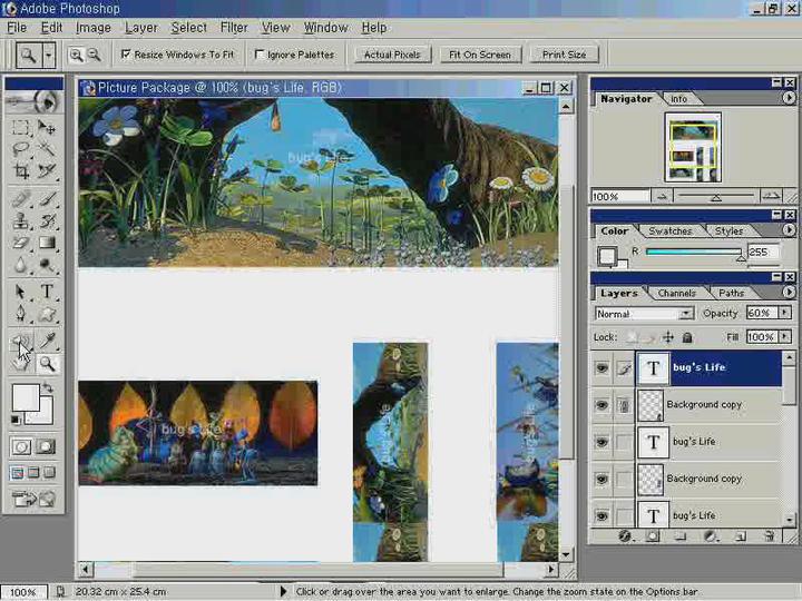 photoshop70 제23강 액션 팔레트와 Automate 비디오 썸네일 이미지