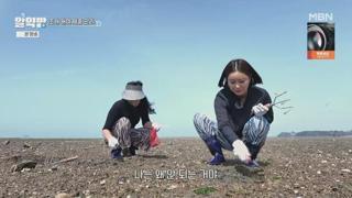 미리보기 이미지