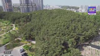미리보기 이미지