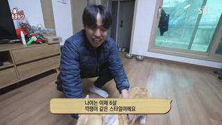 미리보기 이미지