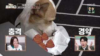 미리보기 이미지