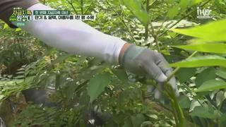 미리보기 이미지