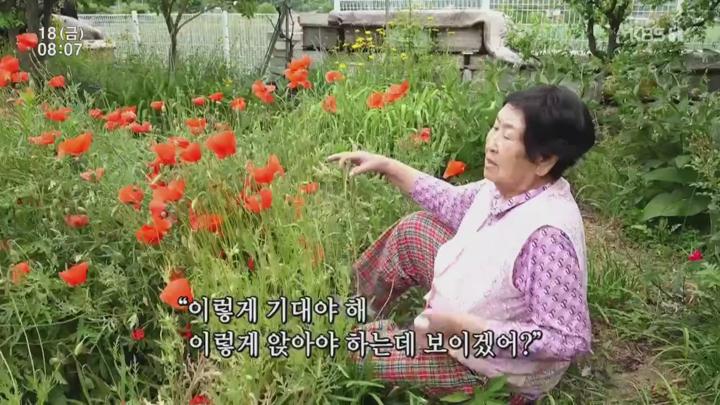 인간극장.농부와 모델 5부.E6152.250718.720p.H264-F1RST 비디오 썸네일 이미지