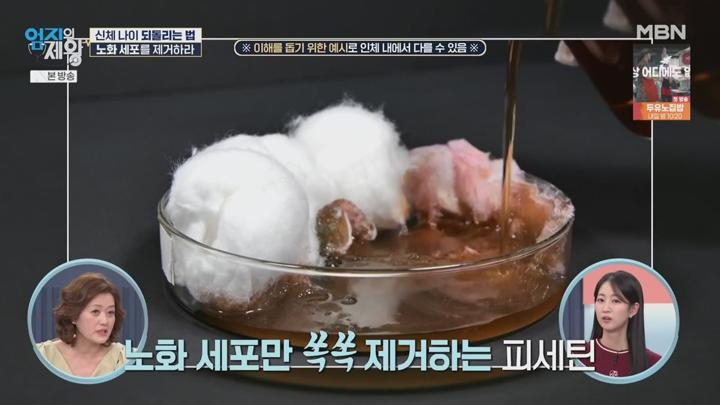 엄지의 제왕.E649.250708.1080p.HANNA 비디오 썸네일 이미지
