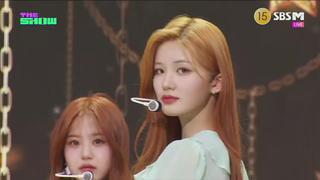 미리보기 이미지