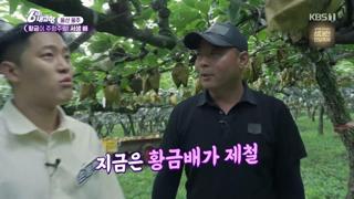 미리보기 이미지