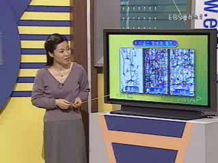 두뇌훈련 3.사고력 훈련 수업-뇌가 원하는 공부법! 비디오 썸네일 이미지