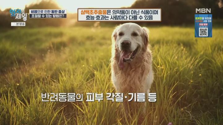 엄지의 제왕.비염 있으면 전신이 막힌다 코 뚫고 제대로 숨 쉬는 법.E650.250715.1080p.H264-F1RST 비디오 썸네일 이미지