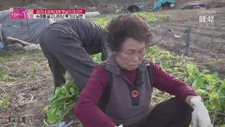 미리보기 이미지