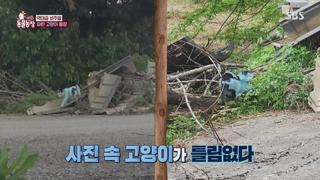 미리보기 이미지