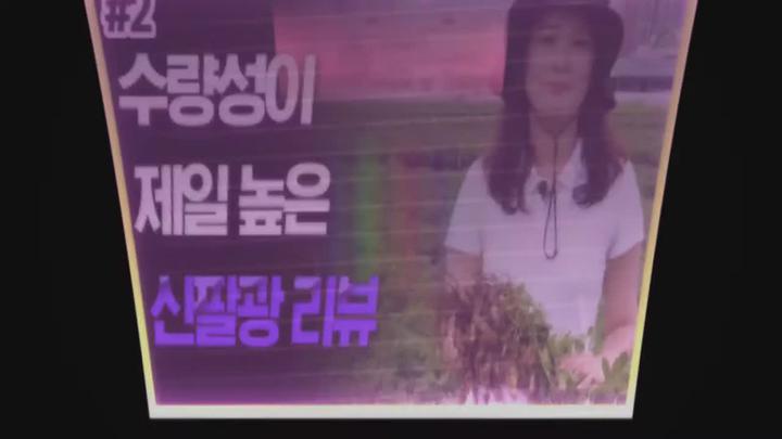 땅콩 주요 육성 품종 - 신팔광 비디오 썸네일 이미지