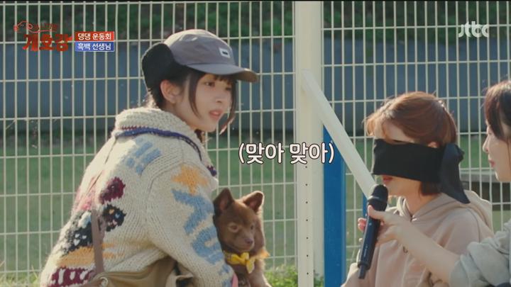 집 나가면 개호강.E07.250706.1080p.H264-F1RST 비디오 썸네일 이미지