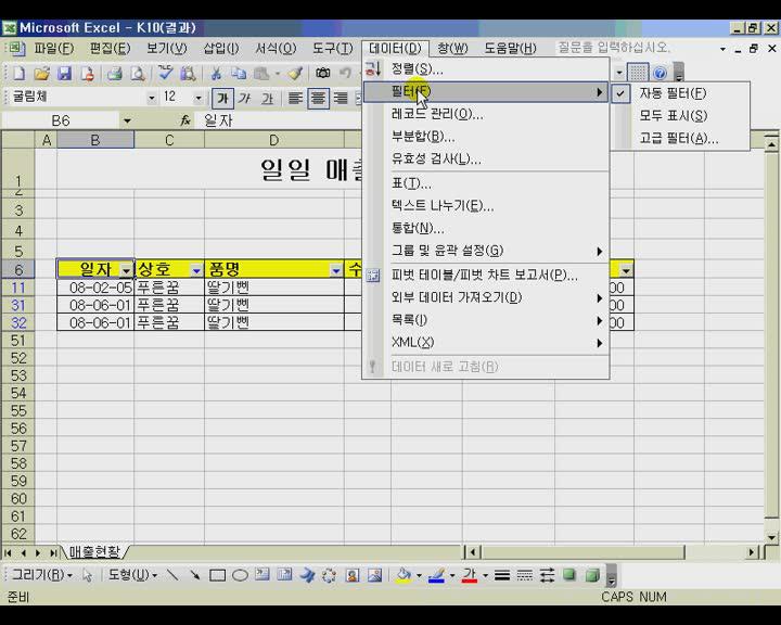 엑셀업무(고급편) 10.자동필터를 이용한 매출현황표 비디오 썸네일 이미지