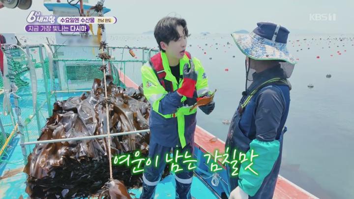 6시 내고향.E8305.250618.1080p.H264-F1RST 비디오 썸네일 이미지