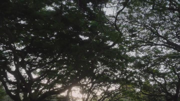 아홉명의 완벽한타인들 시즌1 총8부작 완결 720p 고화질 한글자막 비디오 썸네일 이미지