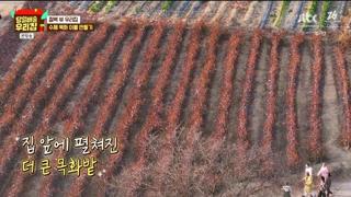 미리보기 이미지