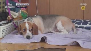 미리보기 이미지