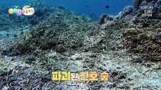 미리보기 이미지