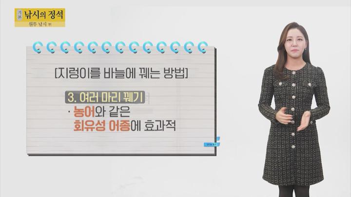 낚시의 정석 37-38회 비디오 썸네일 이미지