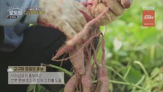 미리보기 이미지