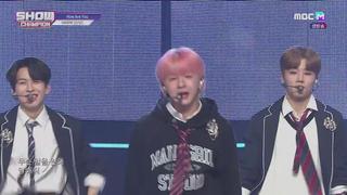 미리보기 이미지