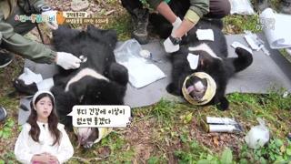 미리보기 이미지